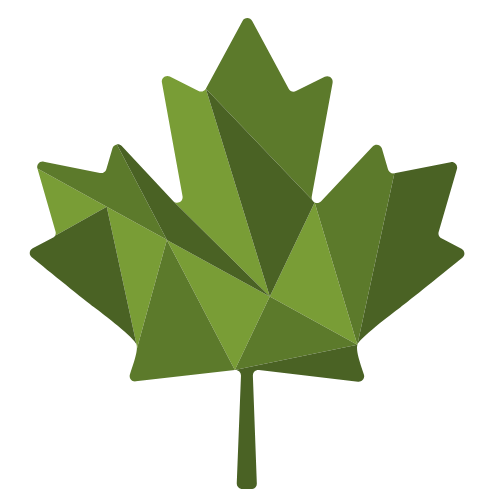 GnS Cleaning Services Logo